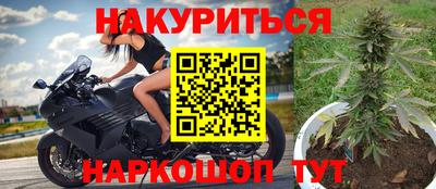 прущие грибы Нальчик