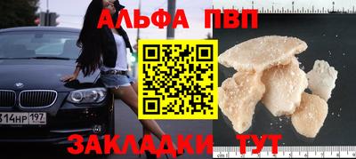 ECSTASY Новозыбков