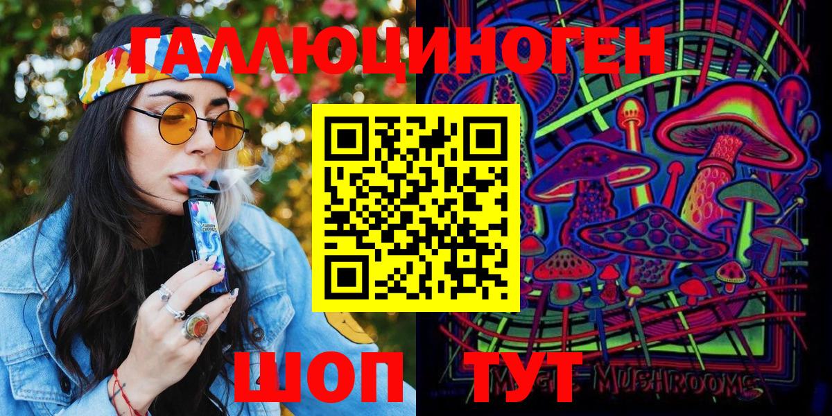 Галлюциногенные грибы Psilocybe  Вход с VPN  Сунжа 