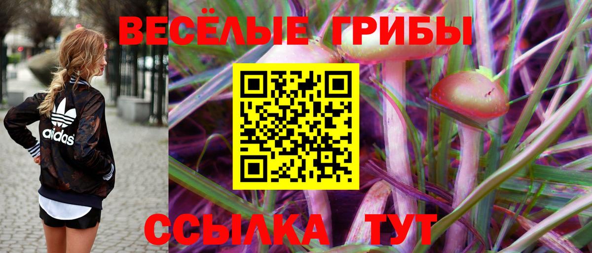 Галлюциногенные грибы мухоморы Сунжа